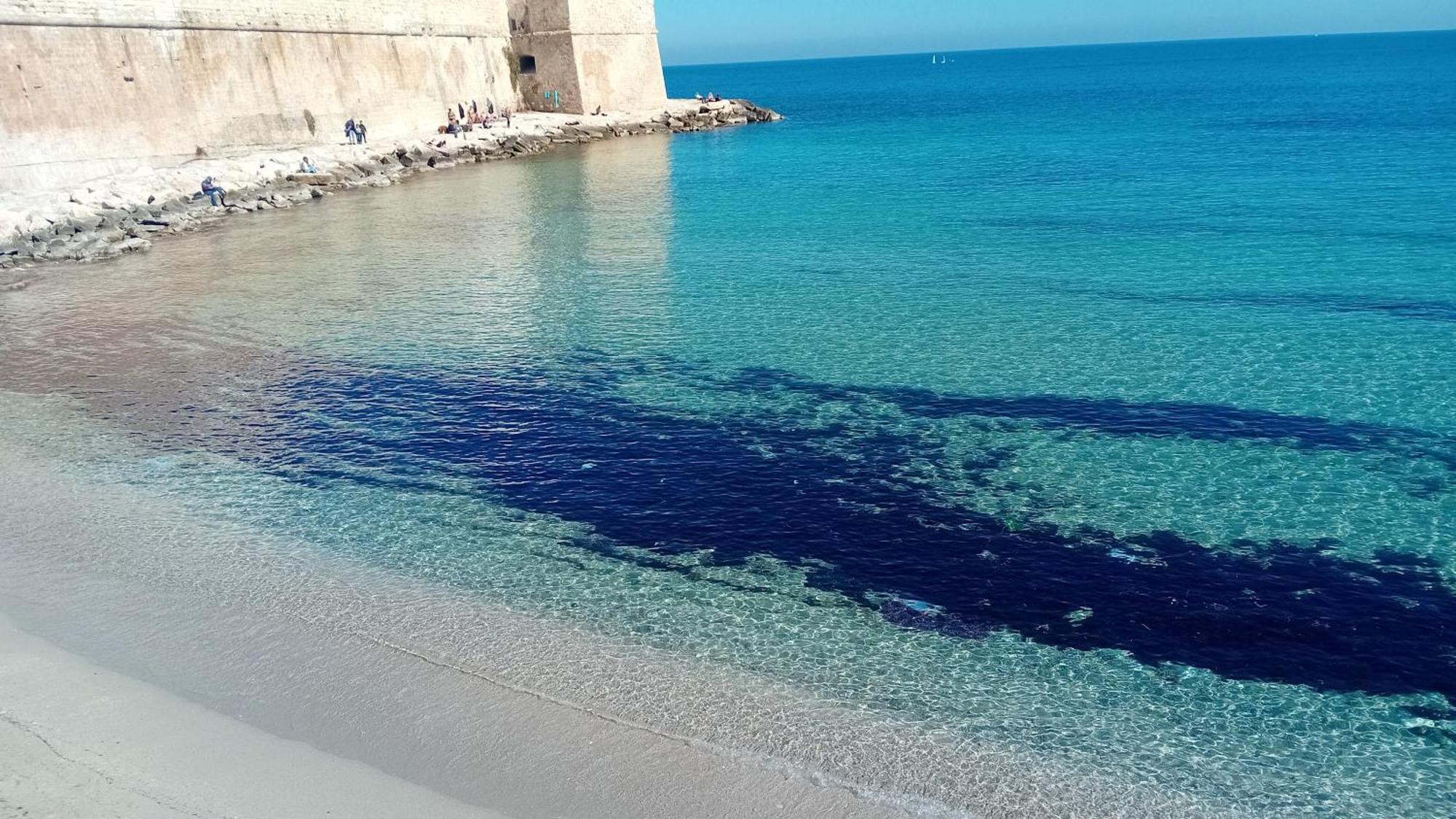 Che Bella Vita! Monopoli Luaran gambar